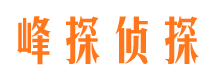 岱岳市婚外情调查